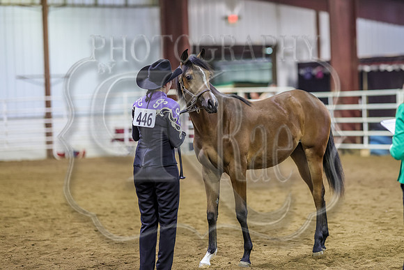 SASS-5187