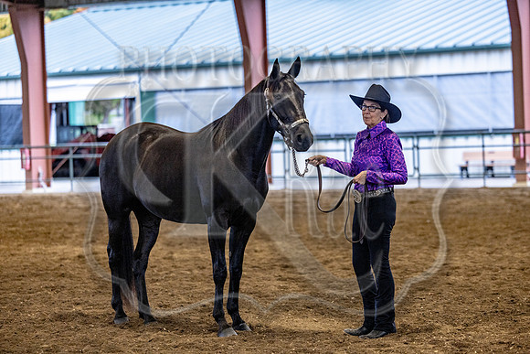 OSB_FallShow-0217