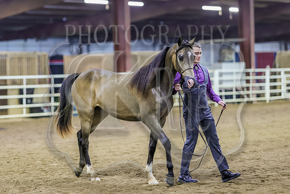SASS-5099