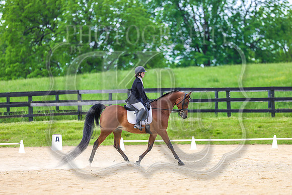 SASS-3567