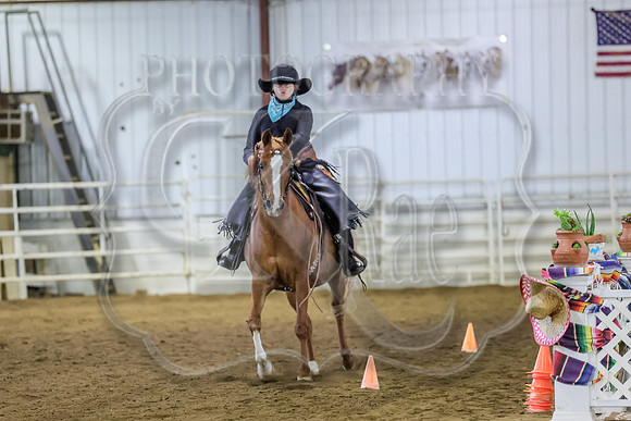 SASS-0543