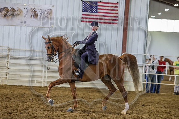 SASS-4104