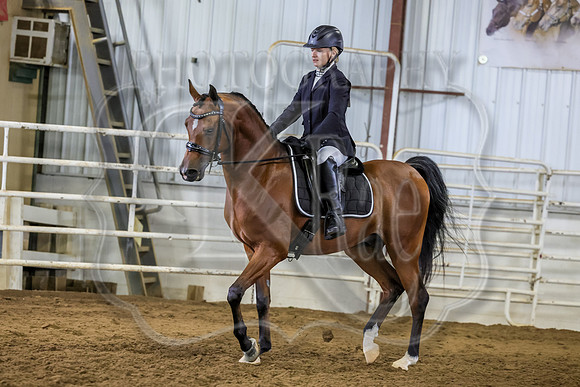 SASS-2168