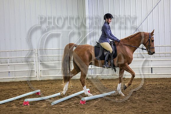 SASS-1481