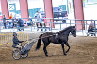 OSB_FallShow-0449