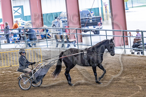 OSB_FallShow-0449