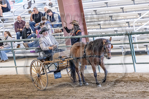 OSB_FallShow-0310