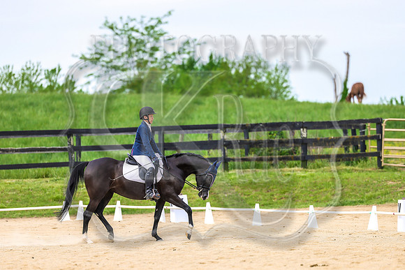 SASS-2946