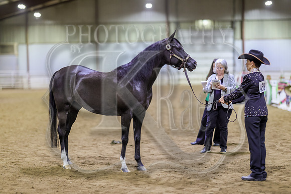 SASS-6186