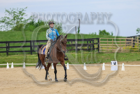 SASS-0867