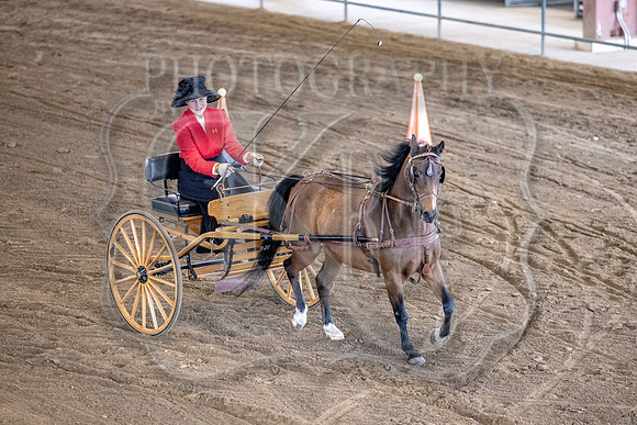 OSB_FallShow-0625