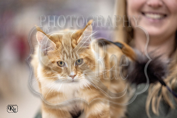 CFA_WLMGTN-0191