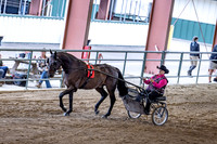 OSB_FallShow-0393