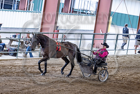 OSB_FallShow-0393