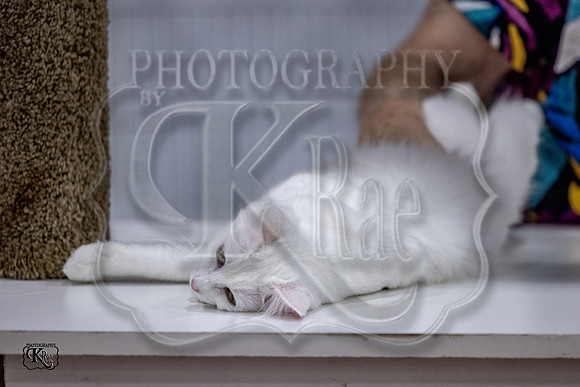CFA_WLMGTN-0143