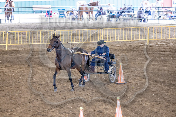 OSB_FallShow-0580