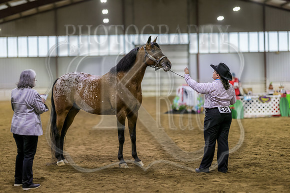 SASS-5428