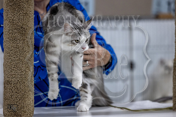 CFA_WLMGTN-0025