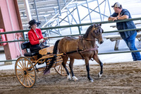 OSB_FallShow-0189