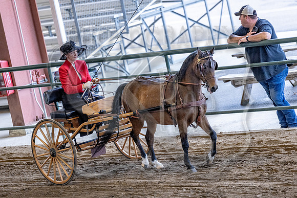 OSB_FallShow-0189