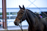 OSB_FallShow-0064