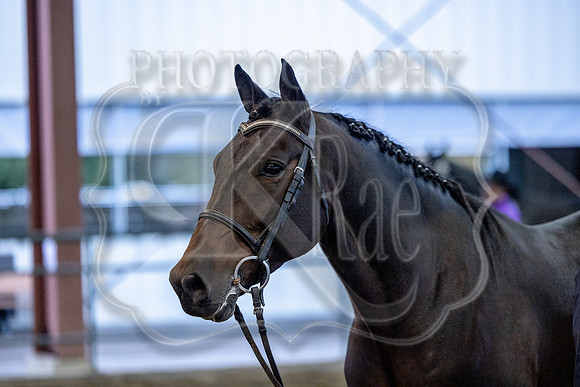 OSB_FallShow-0064