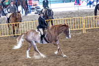 OSB_FallShow-4478
