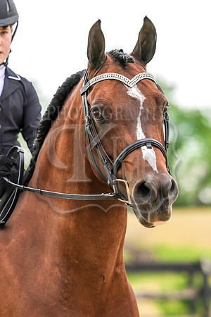 SASS-0791