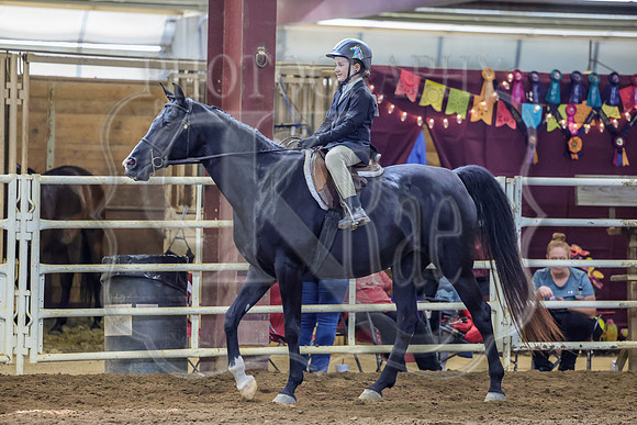 SASS-5411