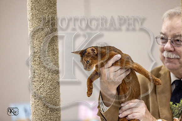 CFA_WLMGTN-0285