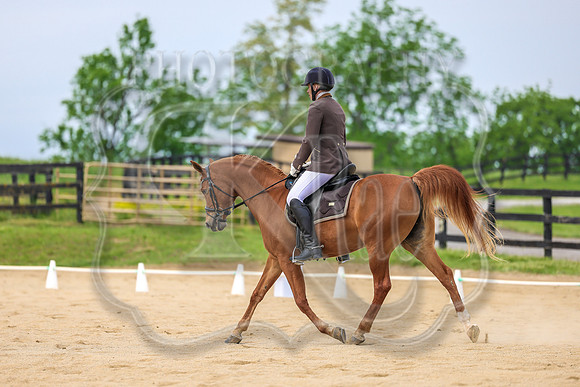 SASS-2491