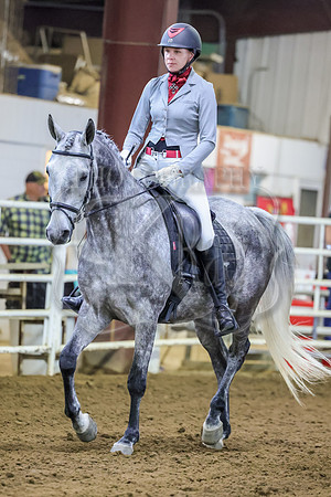 SASS-1527