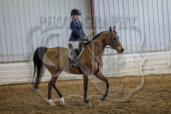 SASS-5620