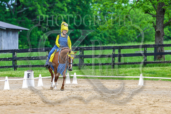 SASS-4720