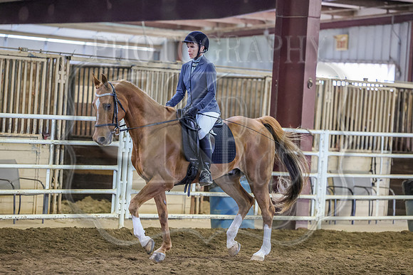 SASS-3635