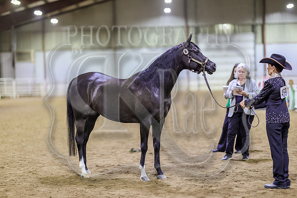SASS-6183