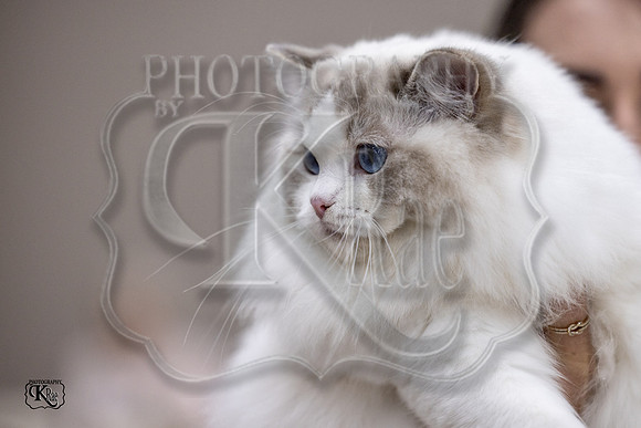 CFA_WLMGTN-0148
