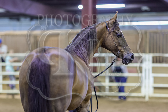 SASS-5158