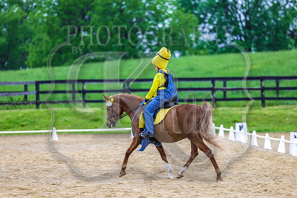 SASS-4551