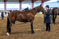 OSB_FallShow-0212