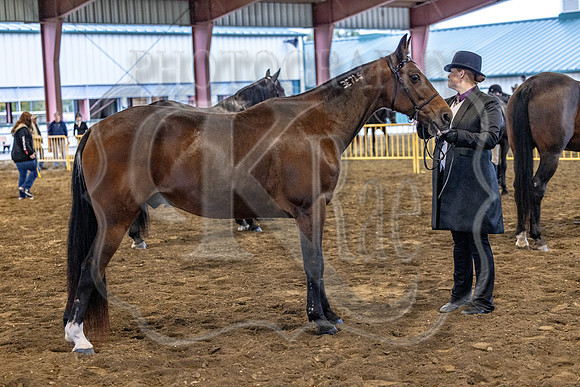 OSB_FallShow-0212