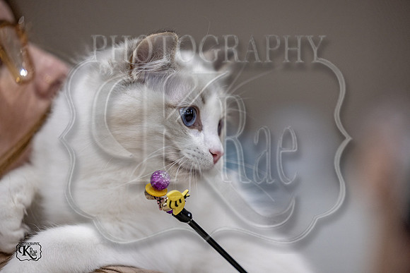 CFA_WLMGTN-0102