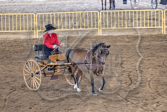 OSB_FallShow-0605