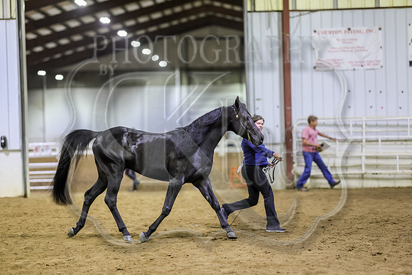 SASS-6794