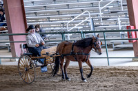 OSB_FallShow-0917