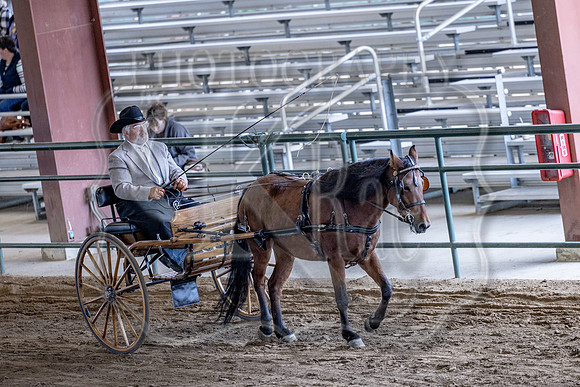 OSB_FallShow-0917