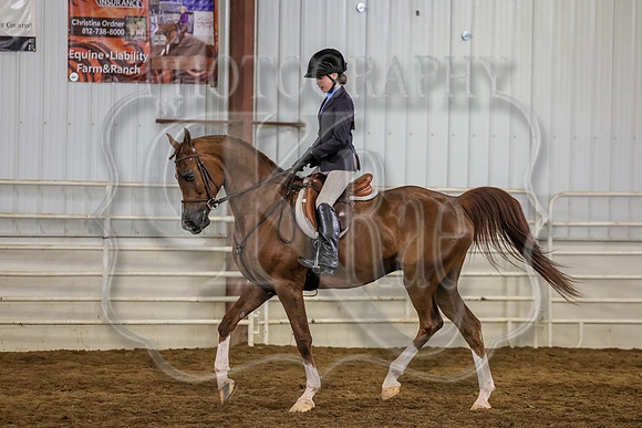 SASS-4073