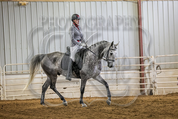 SASS-1667