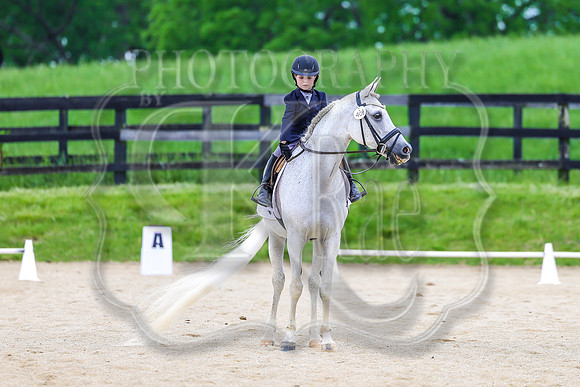 SASS-0591