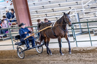 OSB_FallShow-0422